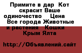 Примите в дар. Кот скрасит Ваше одиночество. › Цена ­ 0 - Все города Животные и растения » Кошки   . Крым,Ялта